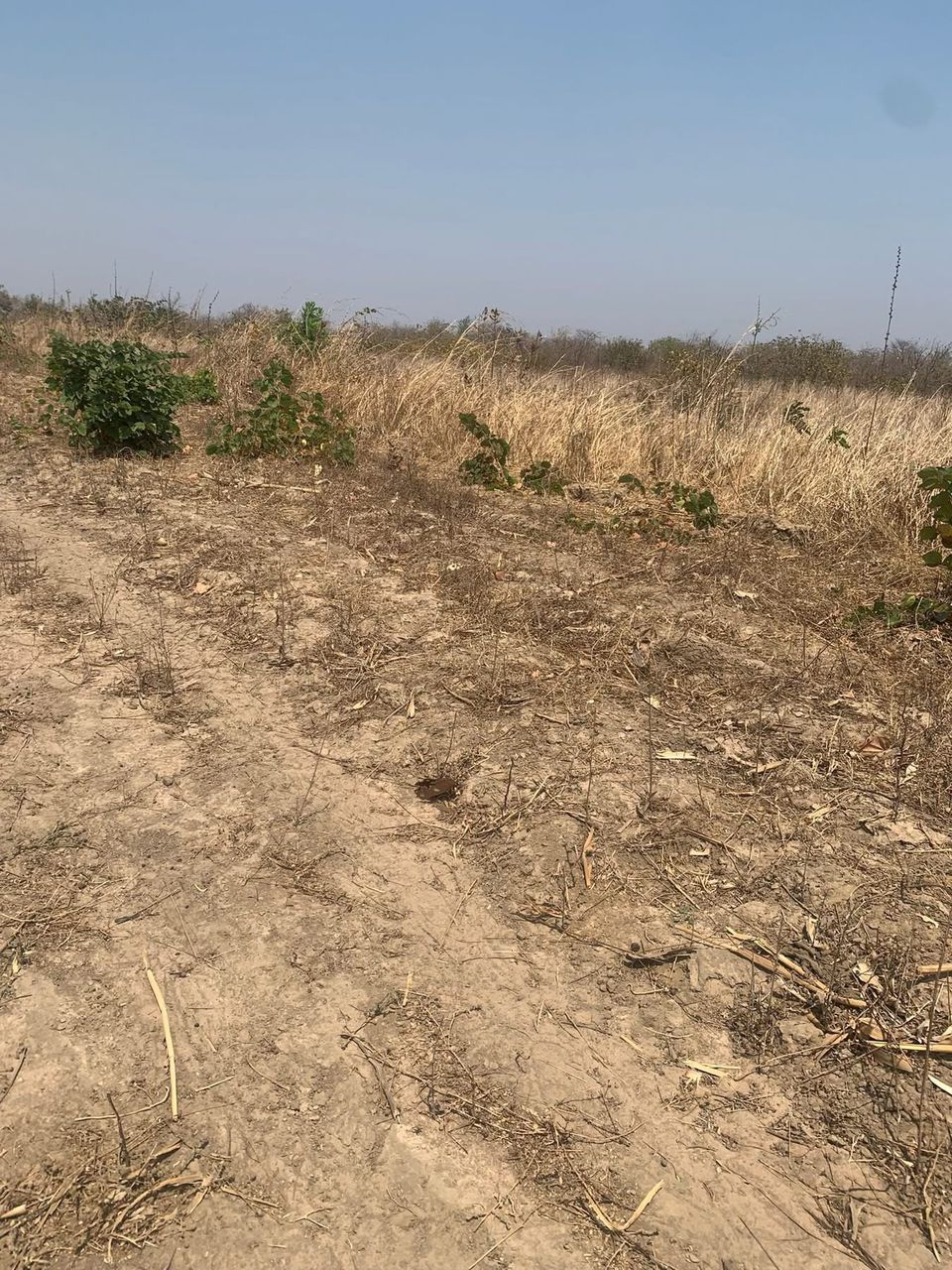 MULUNGUSHI UNIVERSITY PLOT - Image 1