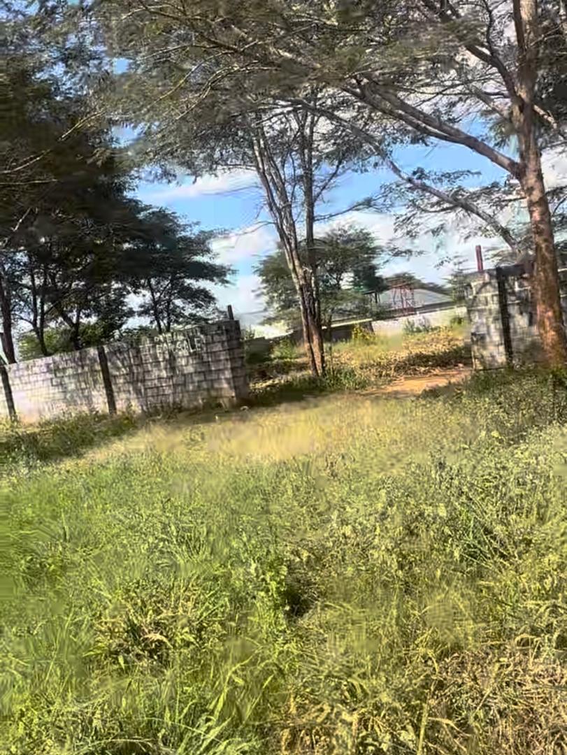 PRIME LAND FOR SALE IN MAKENI - Image 2