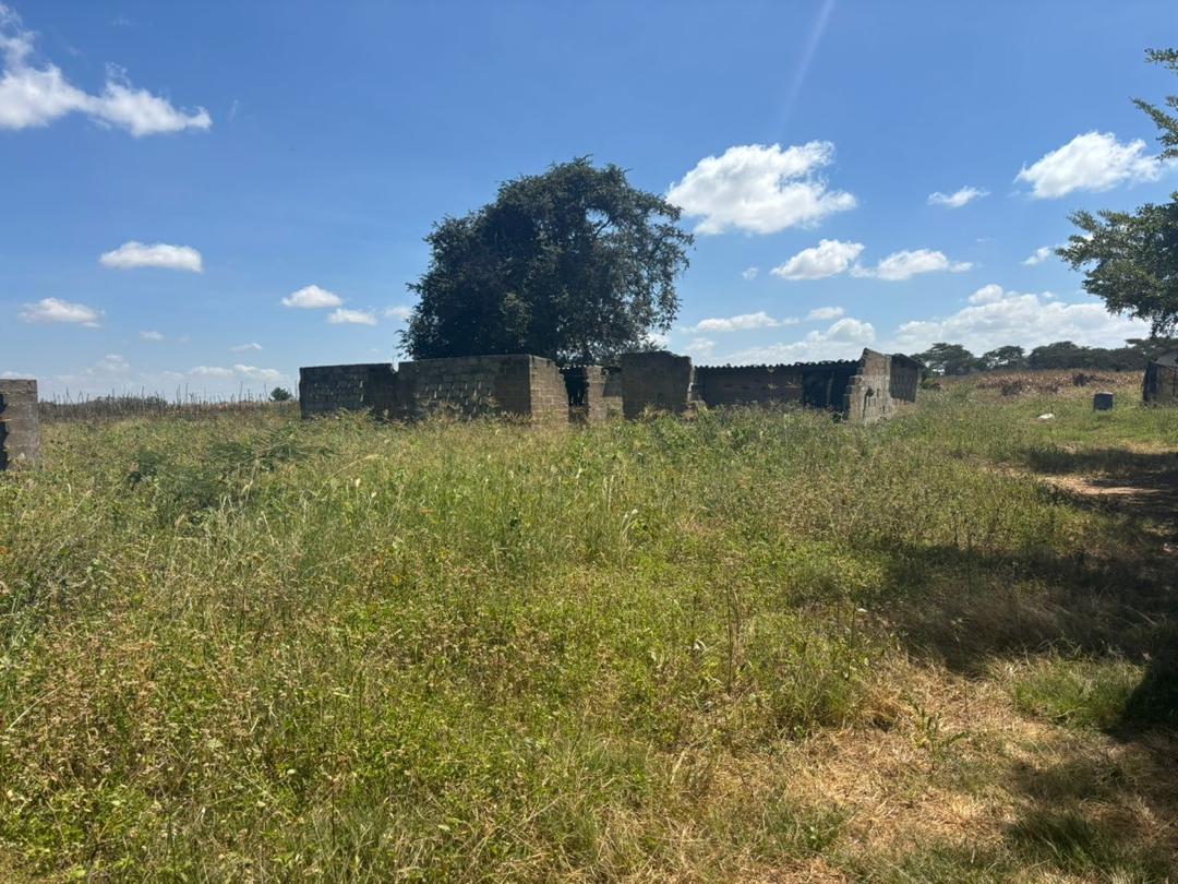 PRIME TITLED LAND NEW KASAMA - Image 1