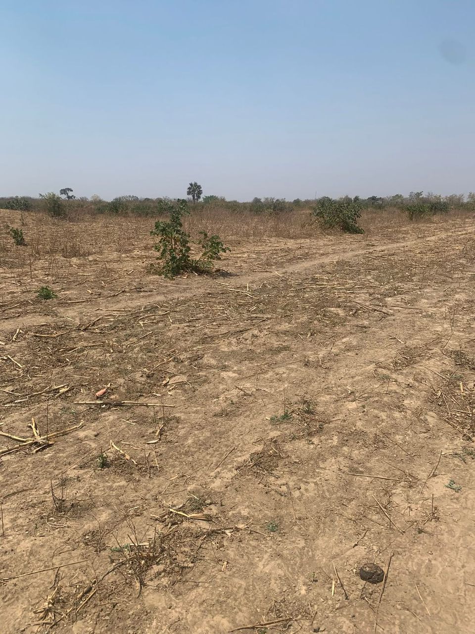 MULUNGUSHI UNIVERSITY PLOT - Image 3