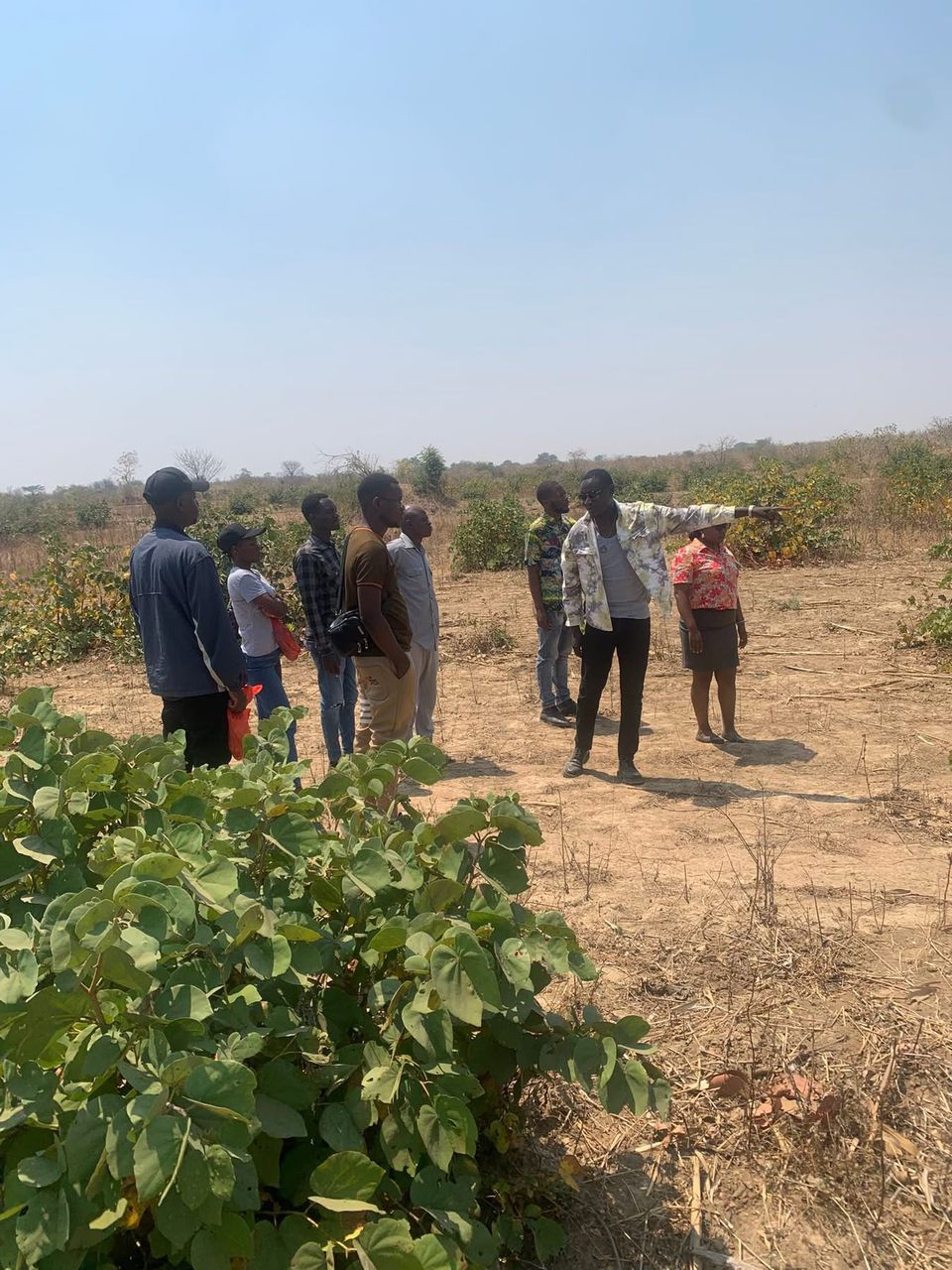 MULUNGUSHI UNIVERSITY PLOT